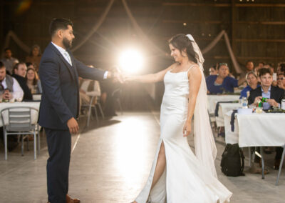 bride and groom wedding photographer hillsdale michigan michigan wedding photographer first dance